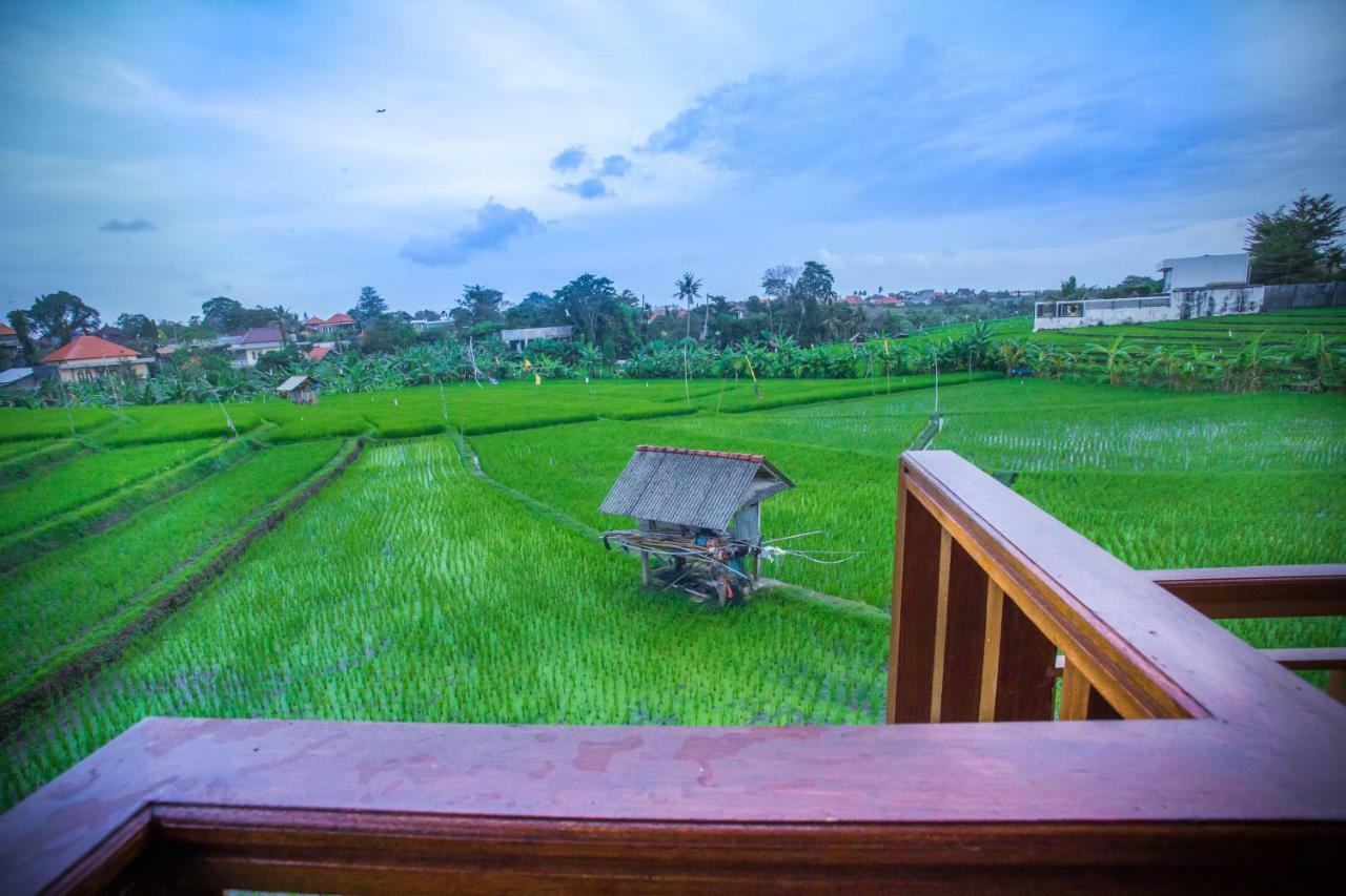 Villa Safeer Canggu  Ngoại thất bức ảnh